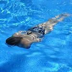 Apartament Dum Mamaia Nord