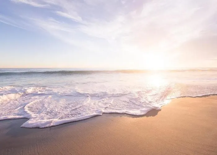 Apartment Dum Mamaia Nord Navodari